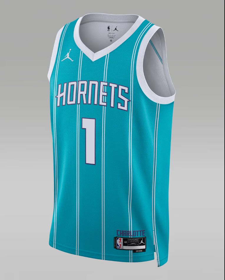 Charlotte Hornets Icon Edition Men's Jordan Dri-FIT NBA Swingman Jersey