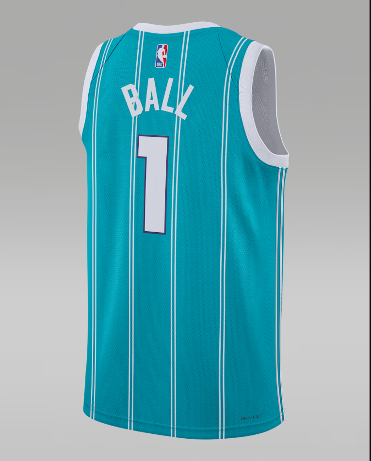 Charlotte Hornets Icon Edition Men's Jordan Dri-FIT NBA Swingman Jersey