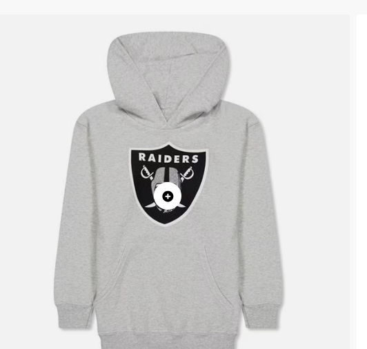 NFL Logo Hoodie Jn99