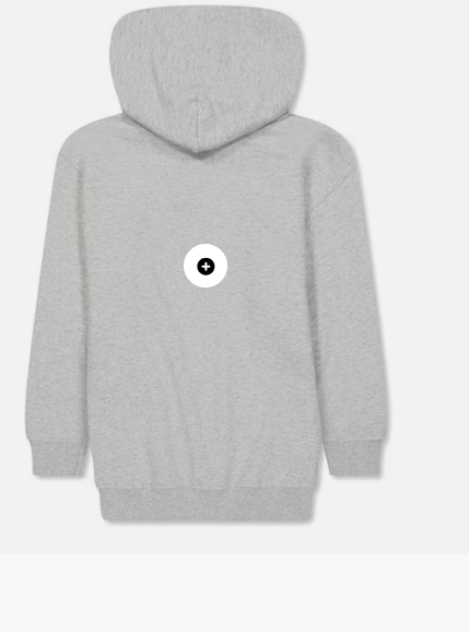 NFL Logo Hoodie Jn99