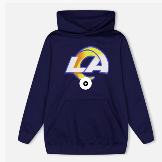 NFL Logo Hoodie Jn99